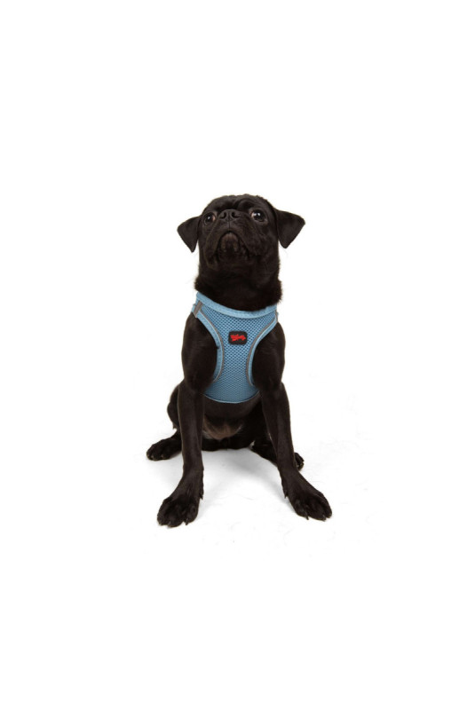Harnais pour chien - Bleu
