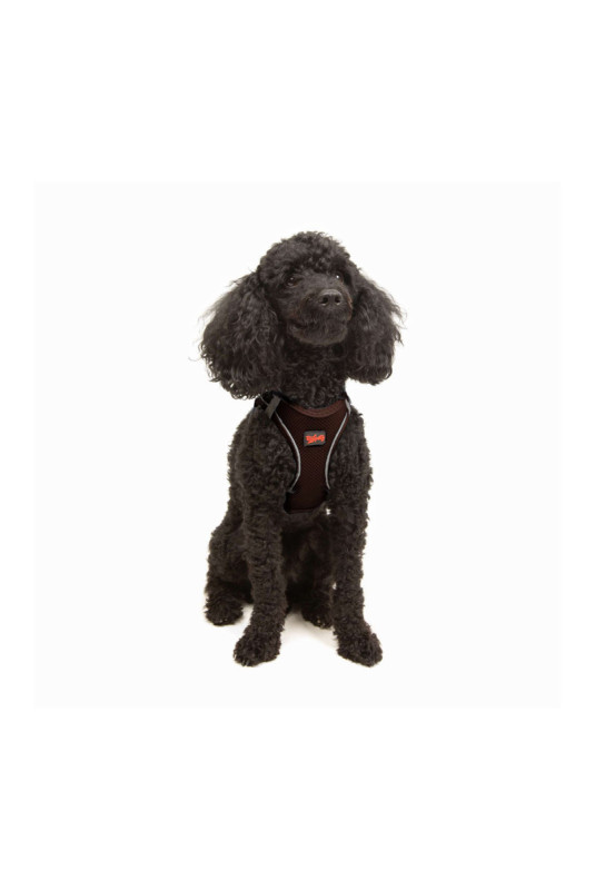 Harnais pour chien - Brun