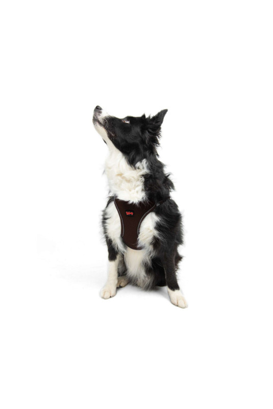Harnais pour chien - Brun
