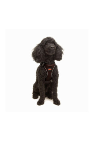 Harnais pour chien - Brun