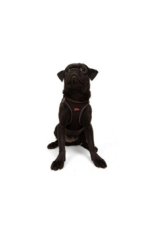 Harnais pour chien - Brun