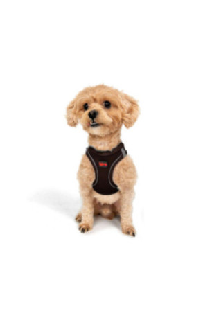 Harnais pour chien - Brun