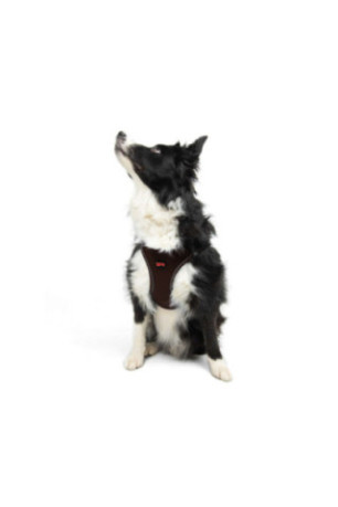 Harnais pour chien - Brun