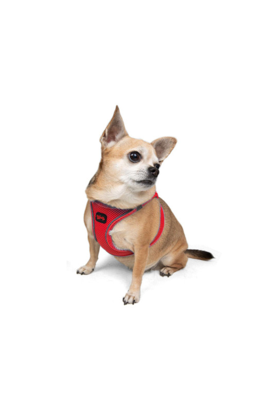 Harnais pour chien - Grenat