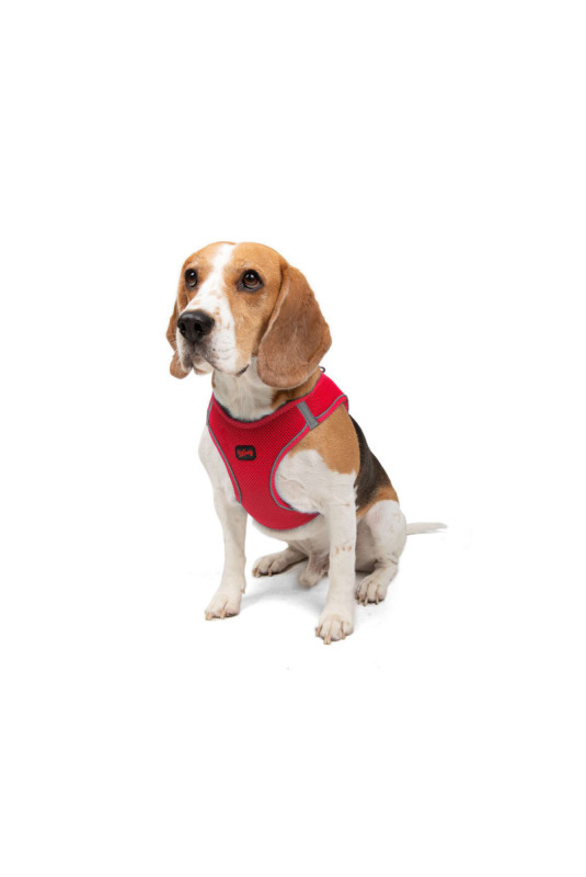 Harnais pour chien - Grenat