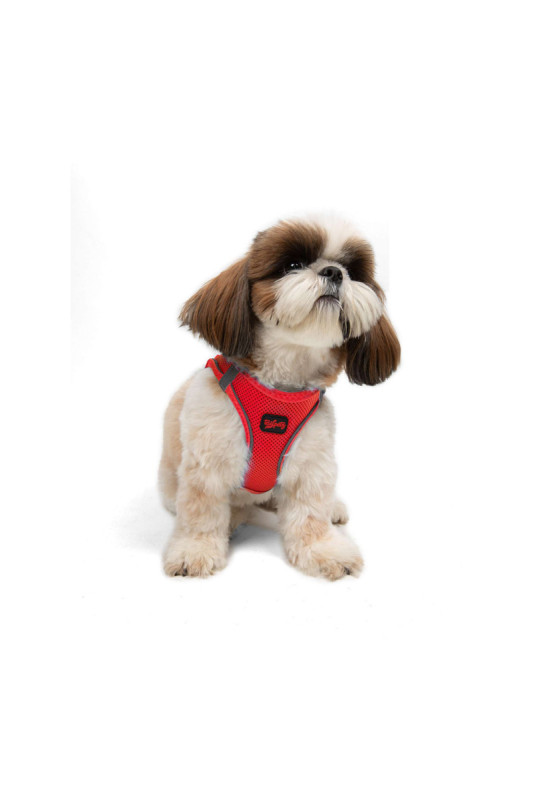 Harnais pour chien - Grenat
