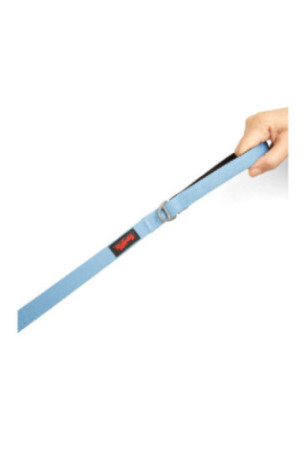 Laisse pour chien - Bleu
