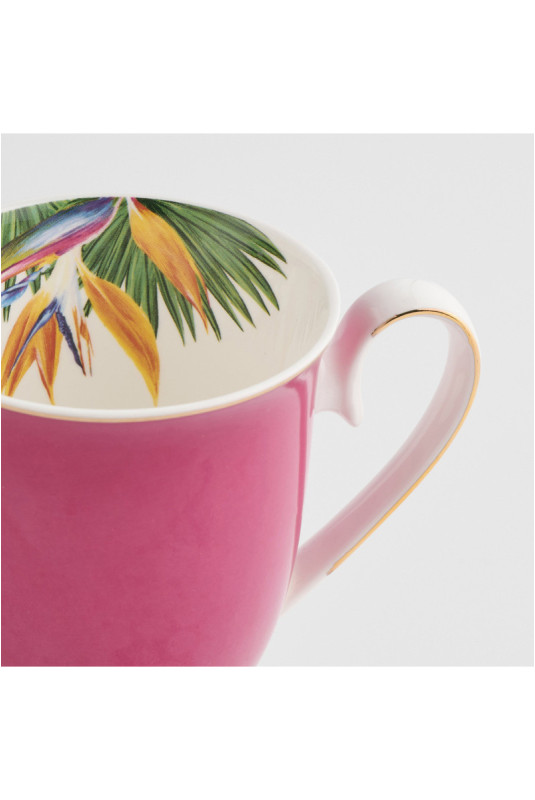 Tasse - Pasaro - Mix