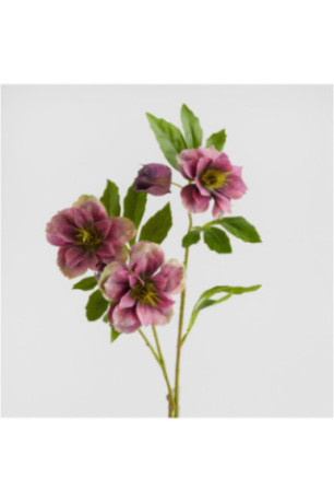 Fleur - Wildiflower - Pink