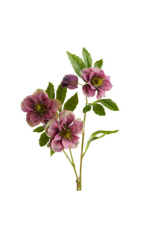 Fleur - Wildiflower - Pink