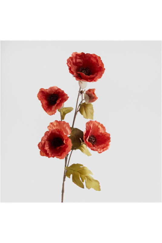 Fleur - Teabloom - Brown