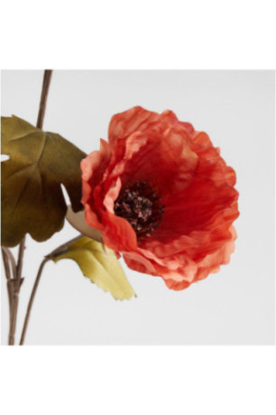 Fleur - Teabloom - Brown