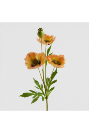 Fleur - Articali - Orange