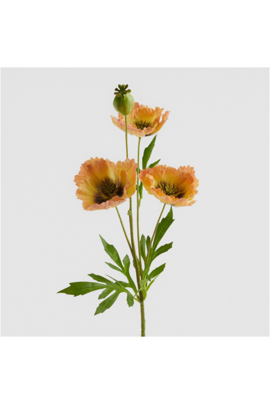 Fleur - Articali - Orange