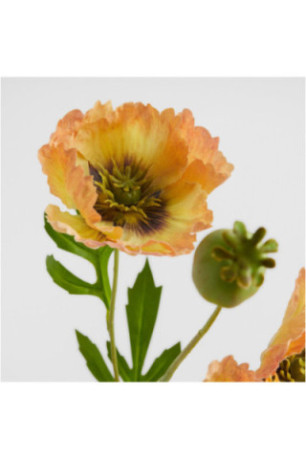 Fleur - Articali - Orange
