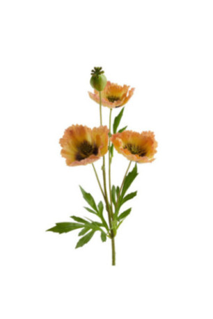Fleur - Articali - Orange