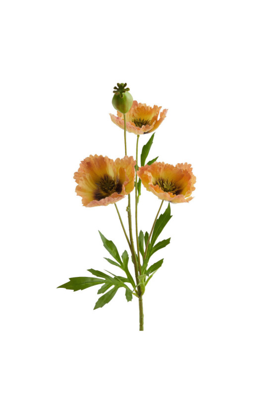 Fleur - Articali - Orange