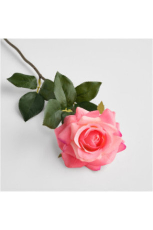 Fleur - Rozesa - Pink