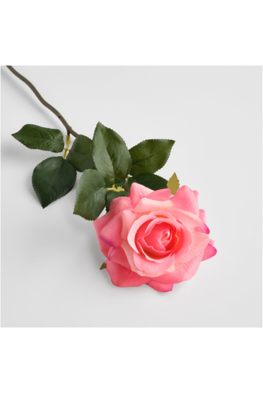 Fleur - Rozesa - Pink
