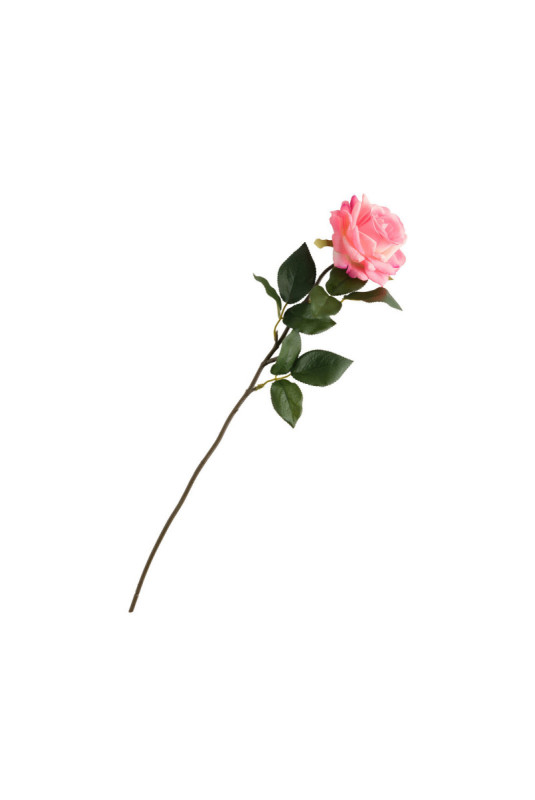 Fleur - Rozesa - Pink