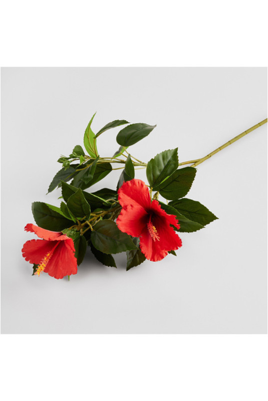 Fleur - Hibisco Kwiat Red - Red