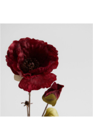 Bouquet - Redrosa - Dark Red