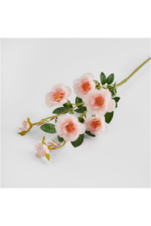 Fleur - Rozesi Kwiat Pink - Pink