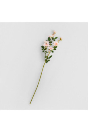 Fleur - Rozesi Kwiat Pink - Pink