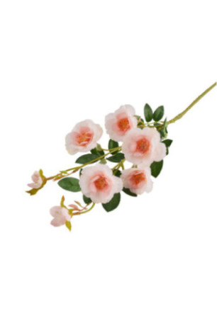 Fleur - Rozesi Kwiat Pink - Pink