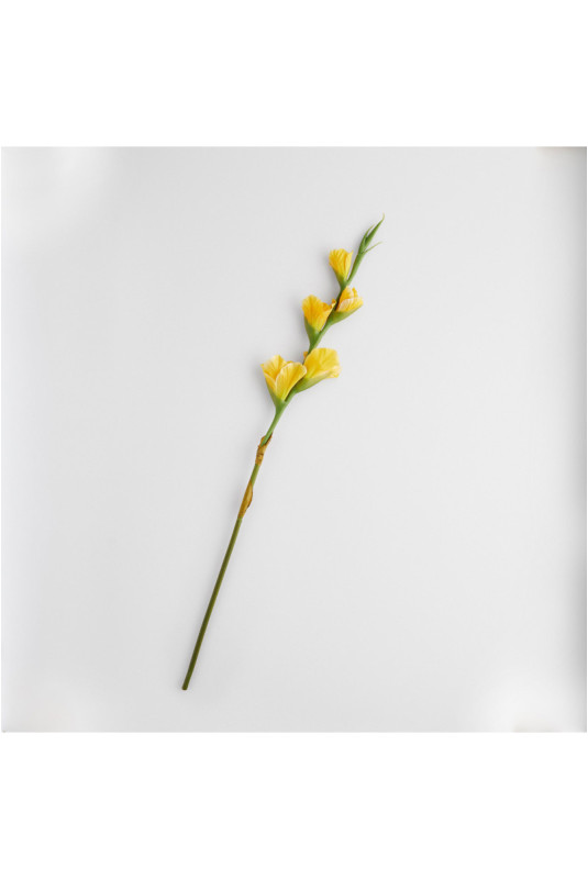 Fleur - Vonesi - Yellow