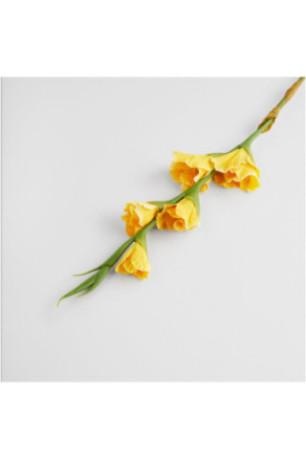 Fleur - Vonesi - Yellow