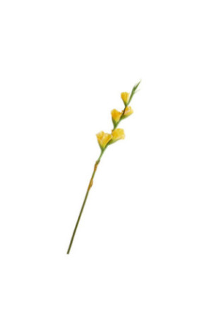 Fleur - Vonesi - Yellow