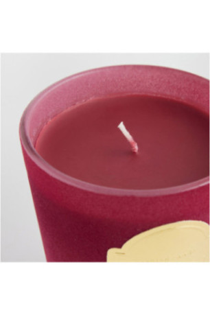Bougie Parfumé - Pasaros - Fuchsia