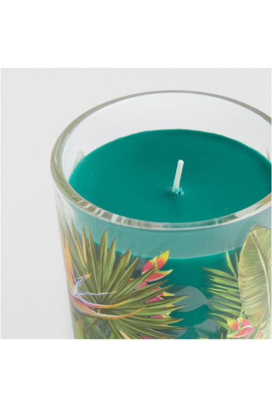 Bougie Parfumé - Pasaro - Green