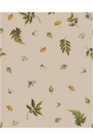 Parure de lit En Satin De Coton - Morivel - Beige - 160x200cm