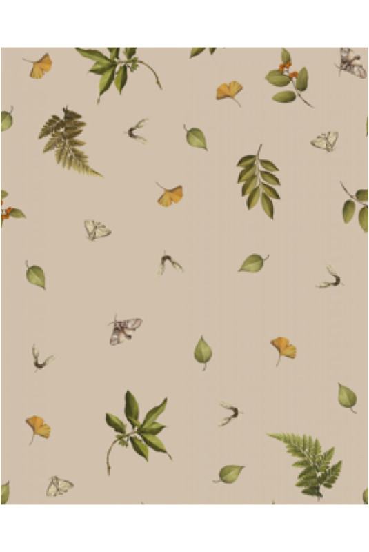 Parure de lit En Satin De Coton - Morivel - Beige - 160x200cm