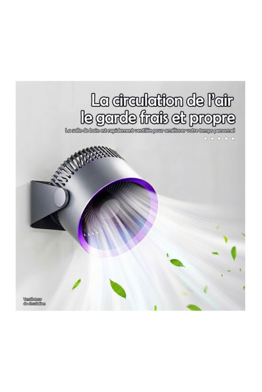 Ventilateur multifonctionnel portable