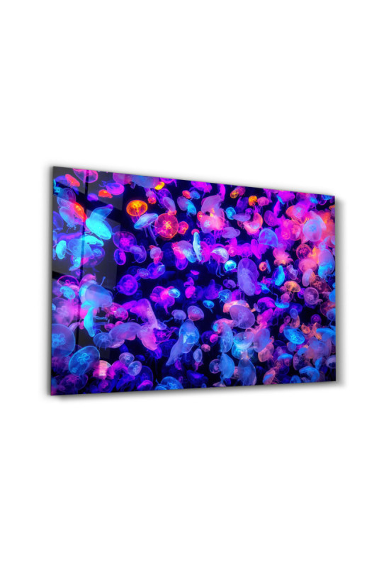 Peinture décorative sur verre trempé - Multicolore