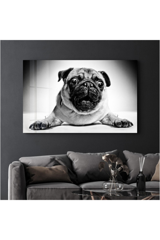 Peinture décorative sur verre trempé - Multicolore