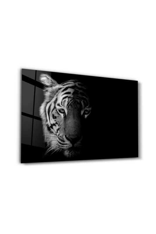 Peinture décorative sur verre trempé - Multicolore