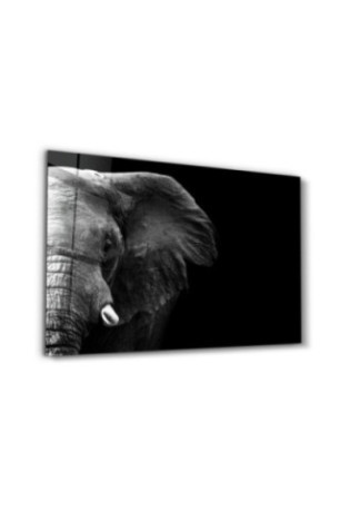 Peinture décorative sur verre trempé - Multicolore