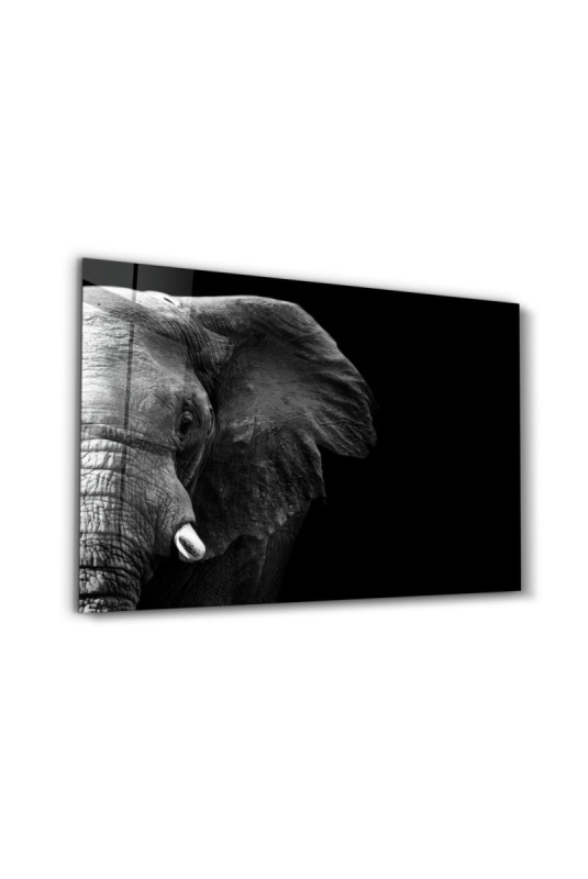 Peinture décorative sur verre trempé - Multicolore