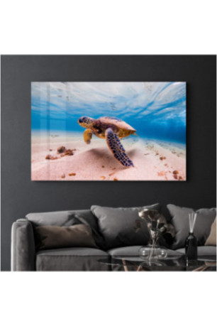 Peinture décorative sur verre trempé - Multicolore
