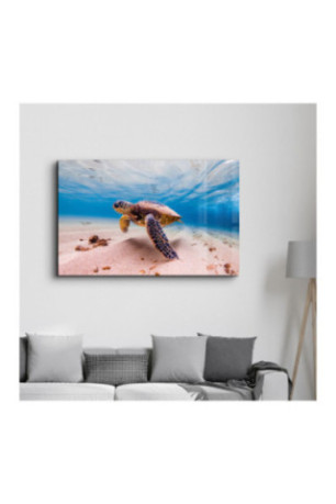 Peinture décorative sur verre trempé - Multicolore
