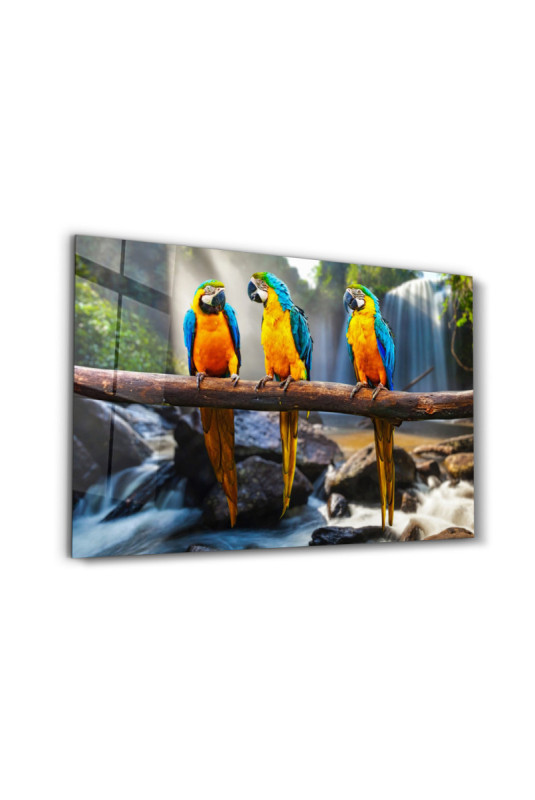 Peinture décorative sur verre trempé - Multicolore