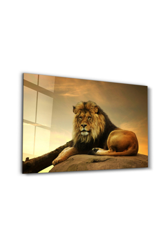 Peinture décorative sur verre trempé - Multicolore