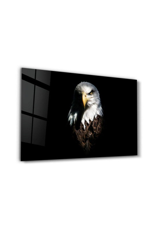 Peinture décorative sur verre trempé - Multicolore