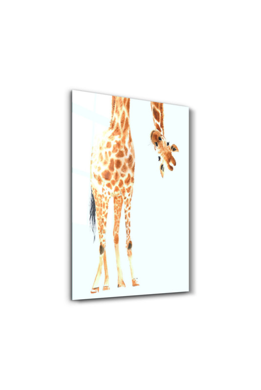 Peinture décorative sur verre trempé - Multicolore
