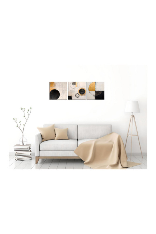 Tableau décoratif sur toile (3 pièces) - Or Noir