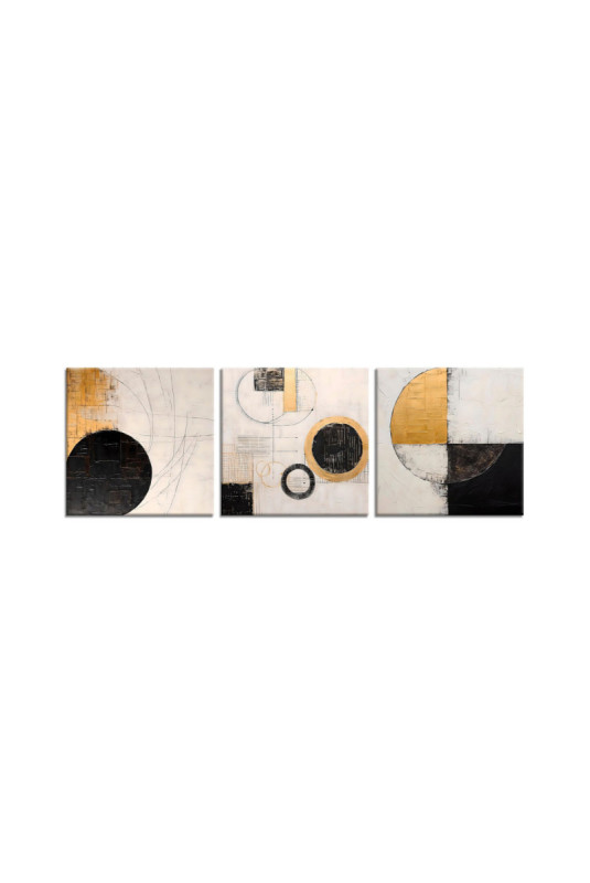 Tableau décoratif sur toile (3 pièces) - Or Noir